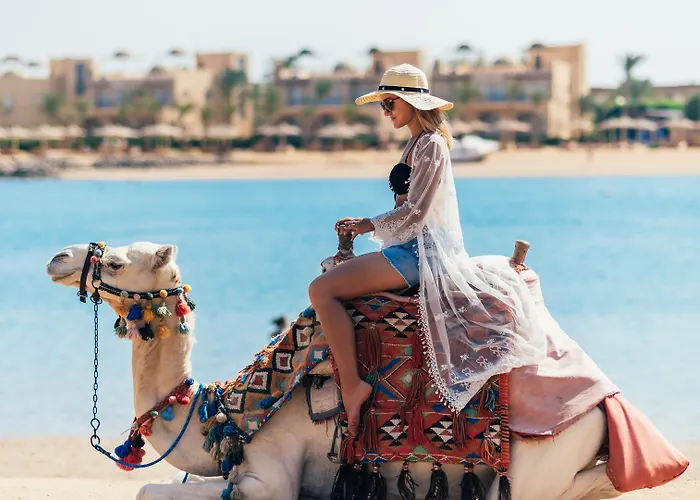 Desert Rose 5* الغردقة