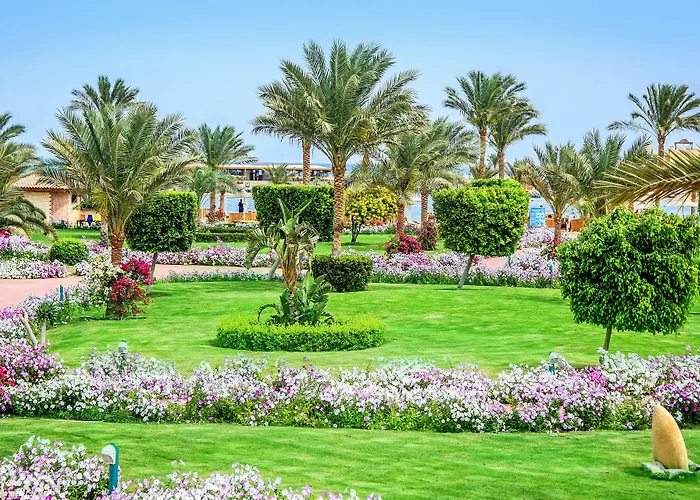 Desert Rose منتجع